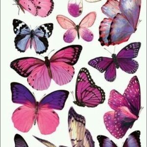 Meet your Posher, Bella